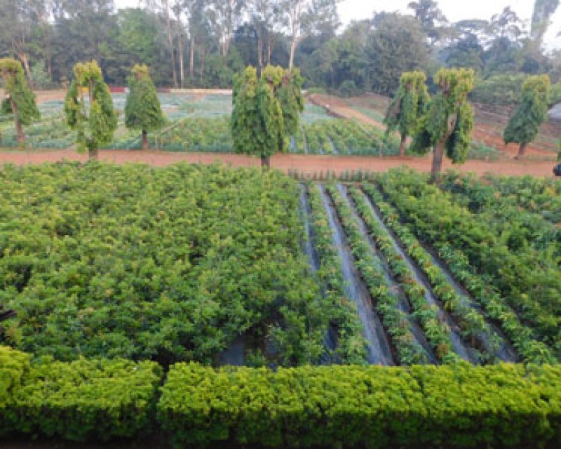 Krishikendra - Agriculture Centre