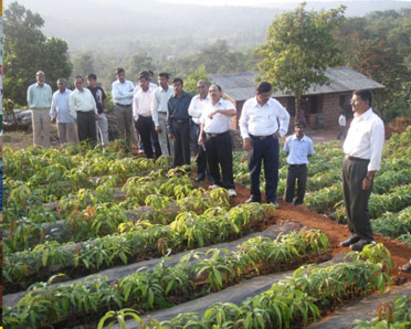 Loknete Shamrao Peje Krishi Vikas Prakalp